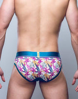 Orchid Brief
